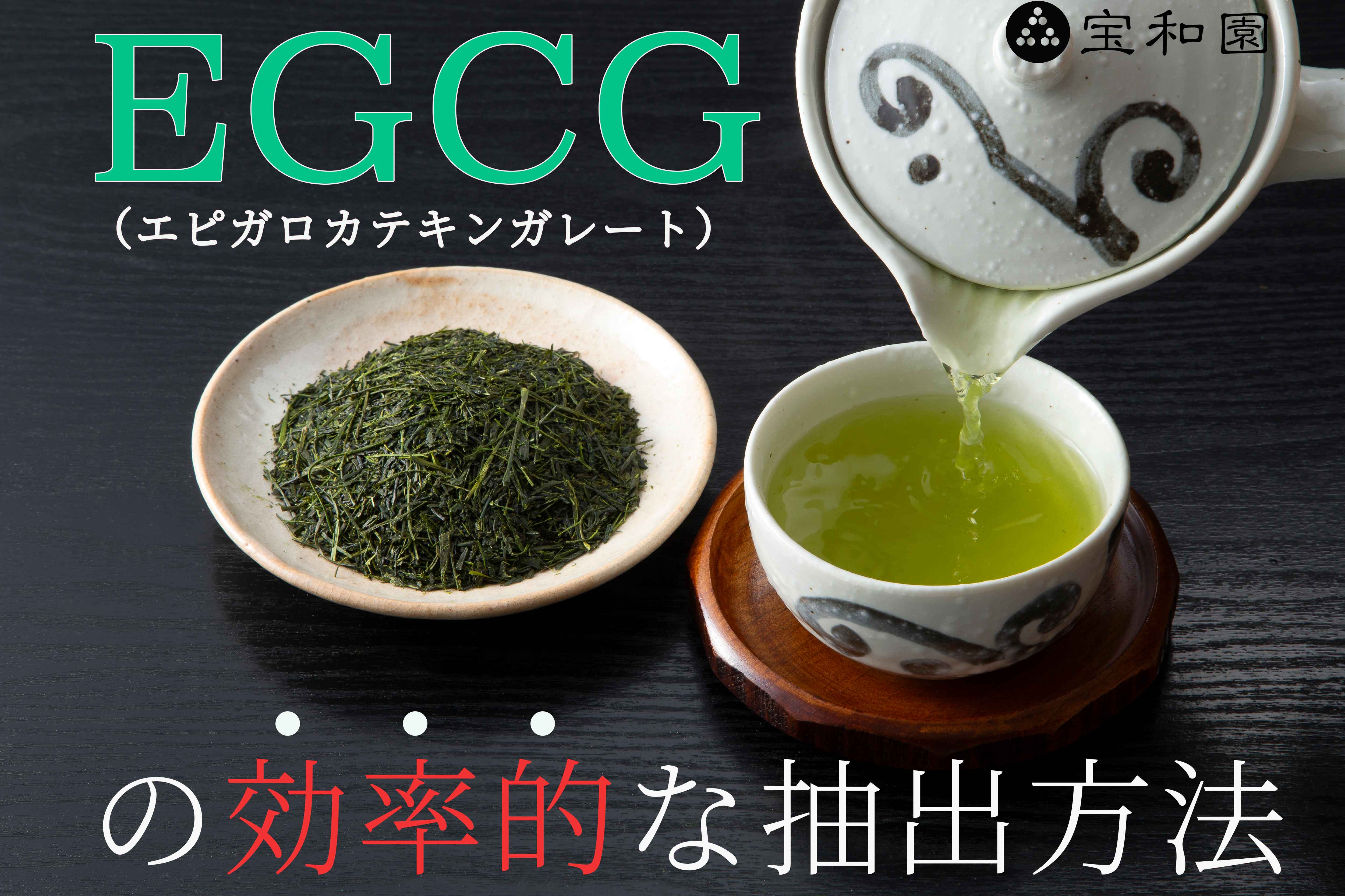 緑茶カテキンの主成分、EGCGの効率的で美味しい抽出方法とは？